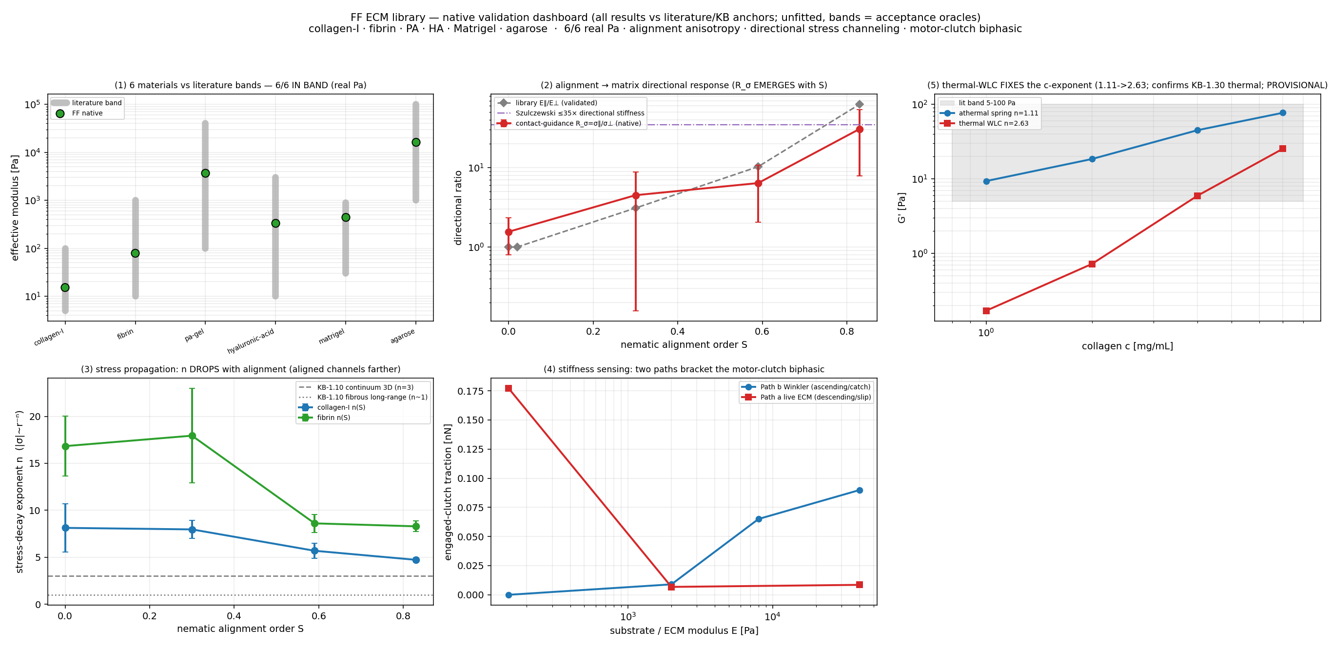 ECM library consolidated validation dashboard