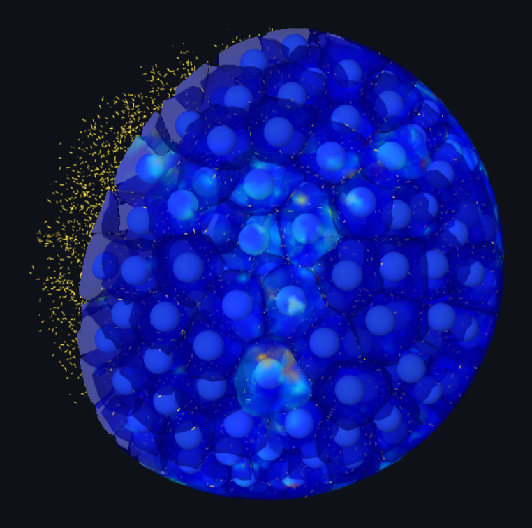 DCM N=2000 confluent spheroid — cut section — per-cell nuclei inside
