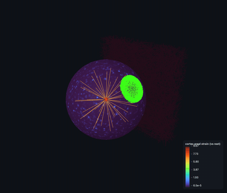▶ areal strain (animated)