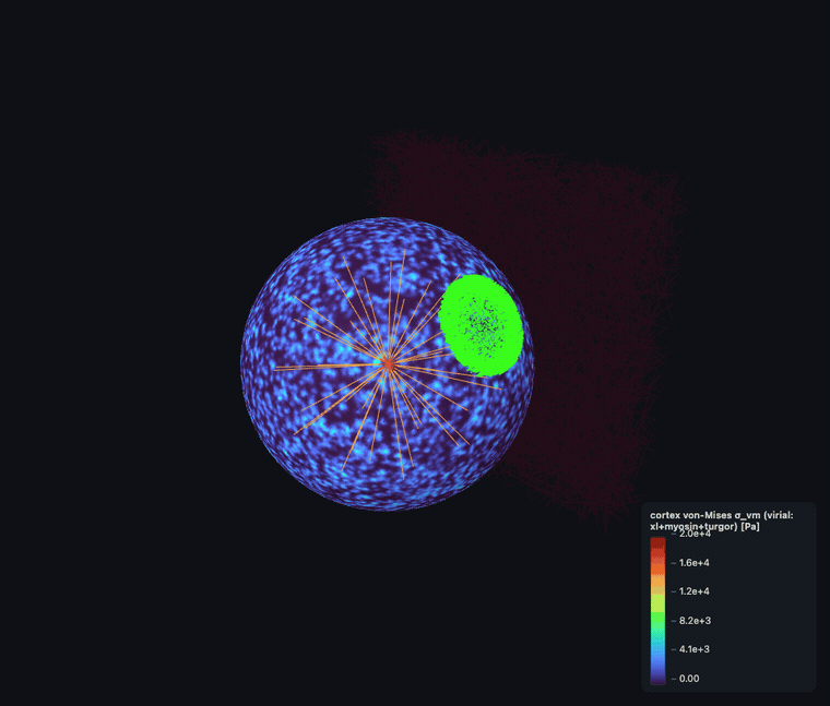 ▶ σ_vm von-Mises stress (animated)