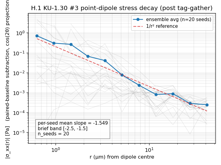 Point-force-dipole stress/displacement radial decay |sigma_xx(r)| in a semiflexible network