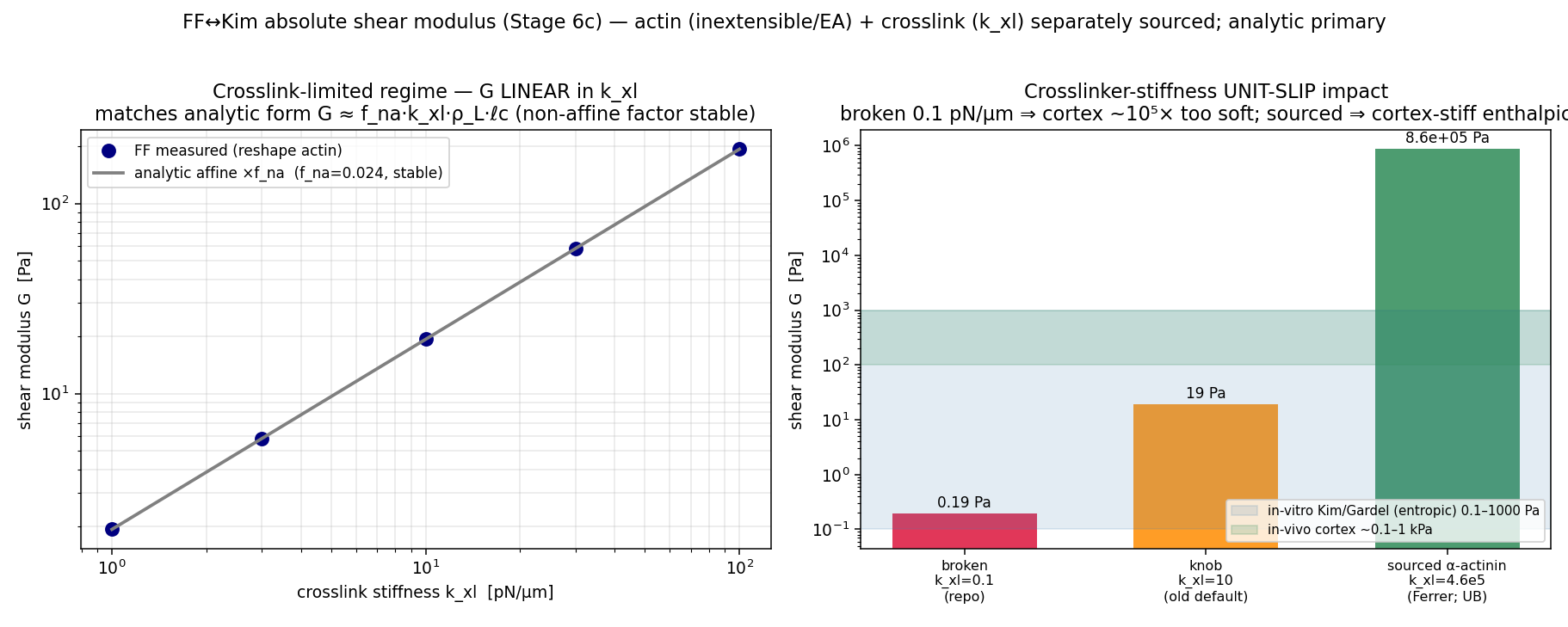 FF actin-network absolute shear modulus G vs crosslinker stiffness k_xl
